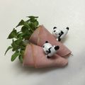 楓✿椛's cooksnap of when they made カイワレのハム巻き☆.