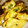 xoxo2naomi's cooksnap of when they made 塩糀昆布の簡単☆チキンマヨ炒め.