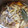 みゃじま's cooksnap of when they made 月桂樹の和風煮物.