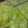 nogooooon's cooksnap of when they made ♪きゃべつと海苔の浅漬け♪.