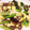 haruchiro's cooksnap of when they made きくらげと小松菜の中華炒め.