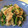 ちゃららん☆'s cooksnap of when they made ごまたっぷり。ほうれん草と豚肉胡麻和え.