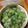 食は天なり's cooksnap of when they made きゅうりの粕和え～長野の味.