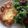 クックYEPDPQ☆'s cooksnap of when they made HMで簡単かぼちゃのバター焼き♬*゜.