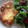 クックYEPDPQ☆'s cooksnap of when they made HMで簡単かぼちゃのバター焼き♬*゜.