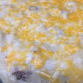 フラワーマウンド's cooksnap of when they made 絶品！鮭とブロッコリーのグラタン.