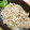 mizz410's cooksnap of when they made 白滝とえのきの明太入り炒り煮.