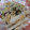 morio28's cooksnap of when they made 大根ときゅうりの塩昆布和え.