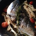 小町桜's cooksnap of when they made イサキのアクアパッツァ.
