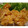 iris1002's cooksnap of when they made えびマヨ　（中華料理だよ）.