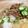 ｍａｈａｎａ's cooksnap of when they made 簡単！おろし納豆そうめん.