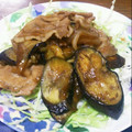 ayamerina☆'s cooksnap of when they made なすと豚肉の生姜焼き.