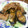 ayamerina☆'s cooksnap of when they made なすと豚肉の生姜焼き.