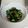 めぐみちゃん９８'s cooksnap of when they made ペロっとな酢の物.