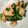 かにゃたろう's cooksnap of when they made ニラとササミのオイマヨ炒め.