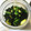 v_v-akota-x_x's cooksnap of when they made 簡単！胡瓜の炒め漬け.