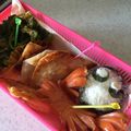 かほかぴ's cooksnap of when they made バレーボール頑張れ！バボちゃんキャラ弁当.