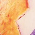 甘党ちゃん☆'s cooksnap of when they made 簡単 チーズケーキ.