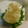 Hirarinn☆'s cooksnap of when they made あと一品に…しらすの大根おろし和え.
