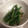 クックZ8J4H4☆'s cooksnap of when they made 簡単☆インゲンのごま和え.