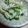 ぴいかん's cooksnap of when they made ツナとゴーヤと玉ねぎのサラダ.