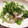 きあちさん's cooksnap of when they made 簡単5分！ツナと水菜の大根おろしご飯.