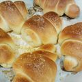 こやんく's cooksnap of when they made 簡単☆手作り塩パン.