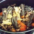 Lara777's cooksnap of when they made ストウブ鍋料理☆野菜いっぱいの筑前煮.