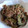 こまちママ☆'s cooksnap of when they made ゴーヤとみょうがのおかか酢和え.