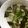 かたのさくら's cooksnap of when they made 簡単すぎアレンジ そうめん.