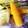 こぐまの向日葵's cooksnap of when they made とうもろこしゆで方 レンジで皮付きのまま.