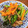 raoul's cooksnap of when they made 小松菜の中華炒め.