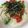 και's cooksnap of when they made トマトとオクラの簡単冷やし麺.