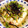 チョコ＆マロン's cooksnap of when they made 鶏肉ときのこの炊き込みご飯.