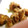 sweet_2007's cooksnap of when they made 簡単すぎるサザエの唐揚げ.