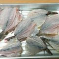 皆殿ようこ's cooksnap of when they made ガシラの一夜干し.