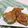 赤い電話's cooksnap of when they made サッパリしたピーマンの肉詰め.