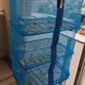 あやころたん's cooksnap of when they made 減塩効果！お鍋の出汁に干しえのき.