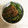 jj0819's cooksnap of when they made ♪シシトウの焼き煮♪.