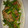 ばななちゃん538's cooksnap of when they made ☆簡単中華豚肉とニンニクの茎炒め☆.