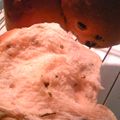 さやっペ's cooksnap of when they made 桜餅風もちもち食パン.