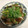 クックDYO7CT☆'s cooksnap of when they made 豚肉と茄子の梅しょうゆ炒め.