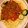 まみあ925's cooksnap of when they made 完熟トマトでミートソース.