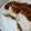 ツッキ's cooksnap of when they made 圧力鍋で！ほろほろ鶏のネギだれがけ.