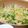 らいと０２１９'s cooksnap of when they made じゃがいもとピーマンの中華風きんぴら☆.