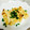 winpom's cooksnap of when they made 油揚げのねぎ焼き.
