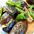 recoreco's cooksnap of when they made 夏野菜の揚げ浸し.