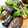 recoreco's cooksnap of when they made 夏野菜の揚げ浸し.