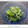 ちょこ☆ちょこ's cooksnap of when they made 簡単！しらすときゅうりの酢の物.