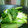 maruru-nn's cooksnap of when they made 簡単☆白菜のおひたし.